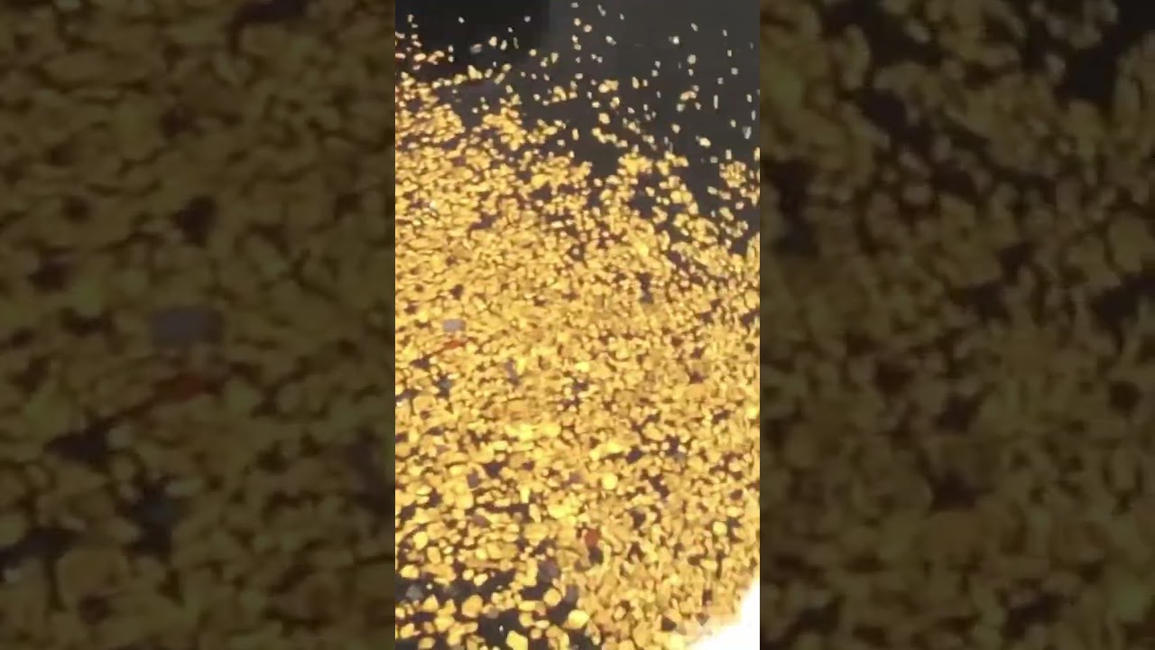 Gold Cleaning✨ #or #orsud #orpaillage #amazing