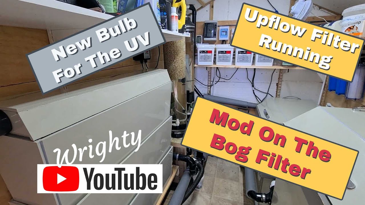 Bog Filter, UV Bulb and Mugs!