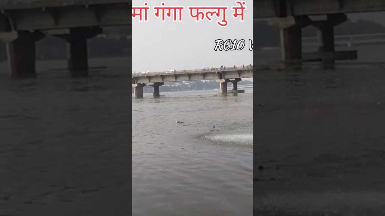 Look, Mother Ganga is merging into the river Phalgu #shorts #trending