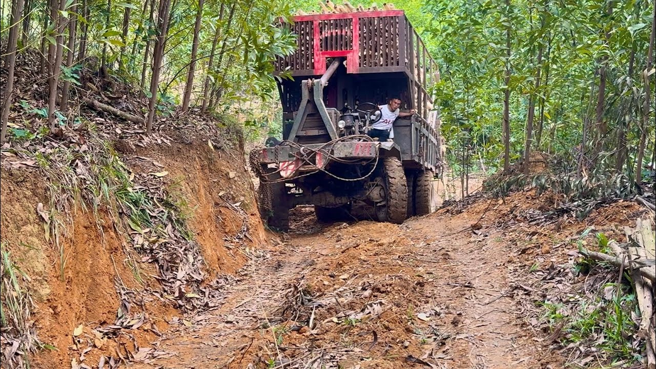 Xe Độ Chở Gỗ Thanh Niên Đặc Hết Ga Lên Đoạn Đường Dốc, Bò Vàng #V6 