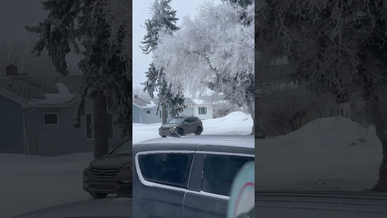 #snow #shortsvideo #buhayabroad #buhaycanada #winter #wintervibes #shortsvideo #shortsbeta