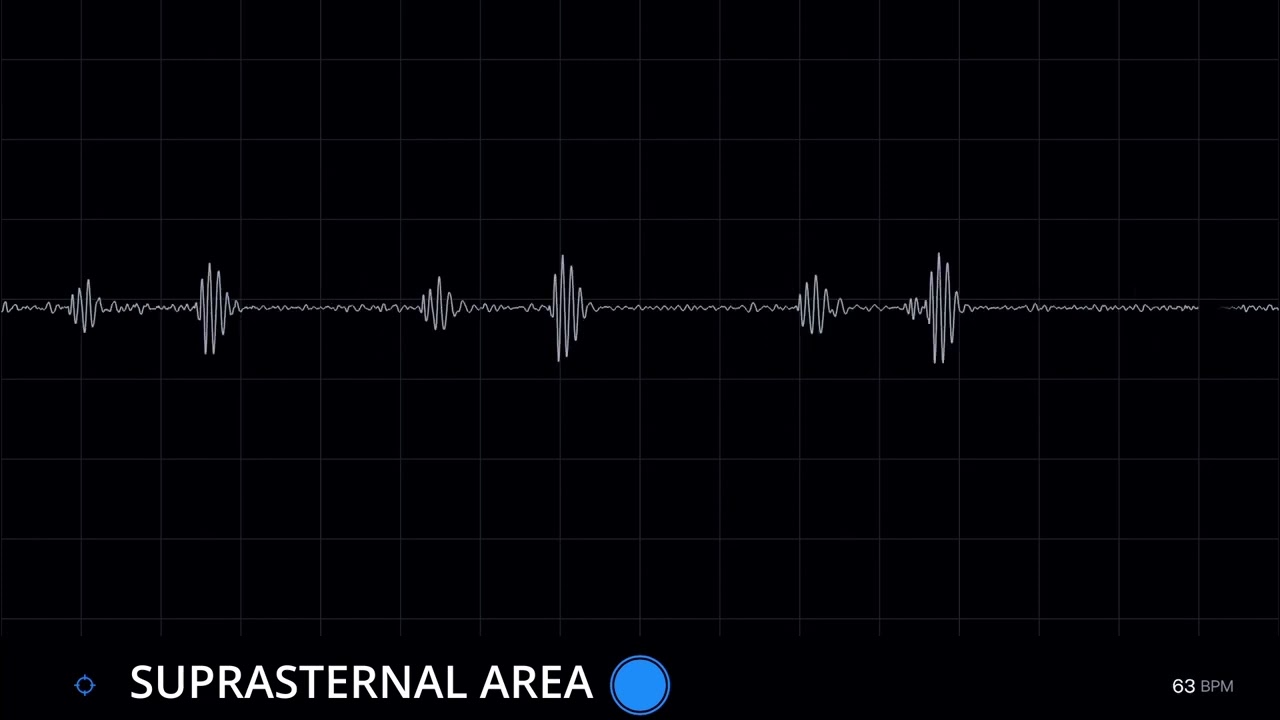 Heartbeat and Breathing at Unusual Spots ❤️🫁🩺 [Male Heartbeat]
