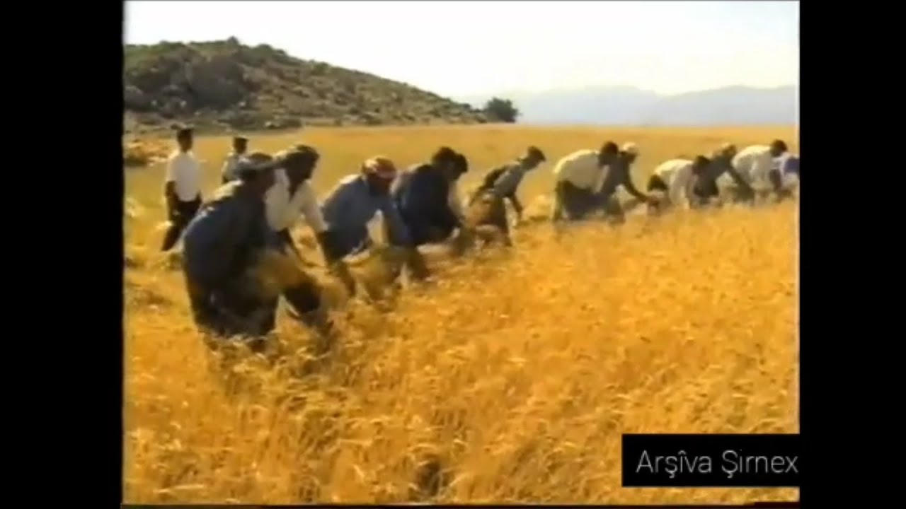 Şirnex - Paleh&icirc;/Genim Dir&ucirc;n (2001)