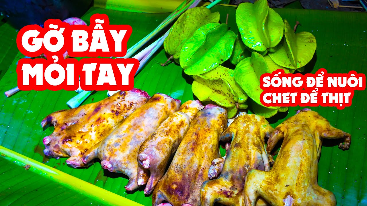 Sập Bẫy Liên Tục Không Làm Kịp Lông Ít Người Đông Thịt-Ngập Mồm Thịt Rừng   ✧ Suối Bản Tv