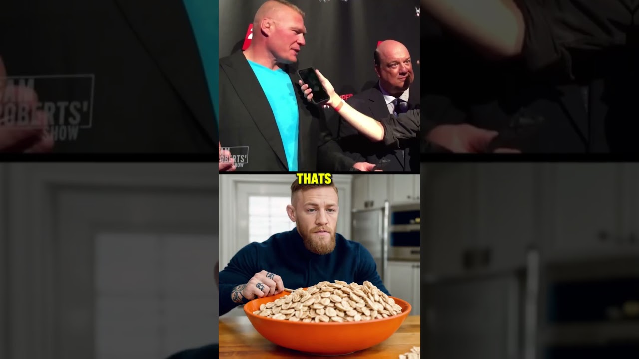 Brock Lesnar Absolutely Destroys Connor McGregor 🎙