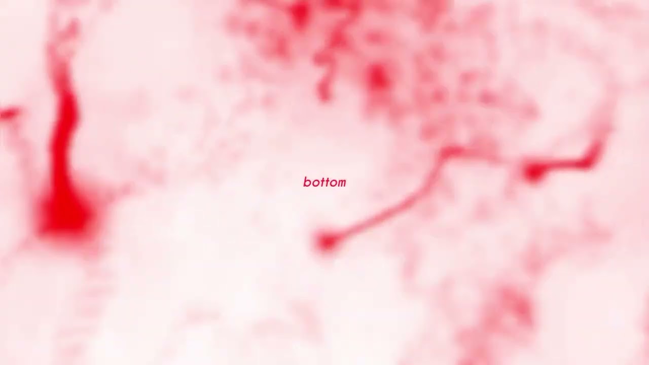 gunna - bottom (slowed + supereverb)