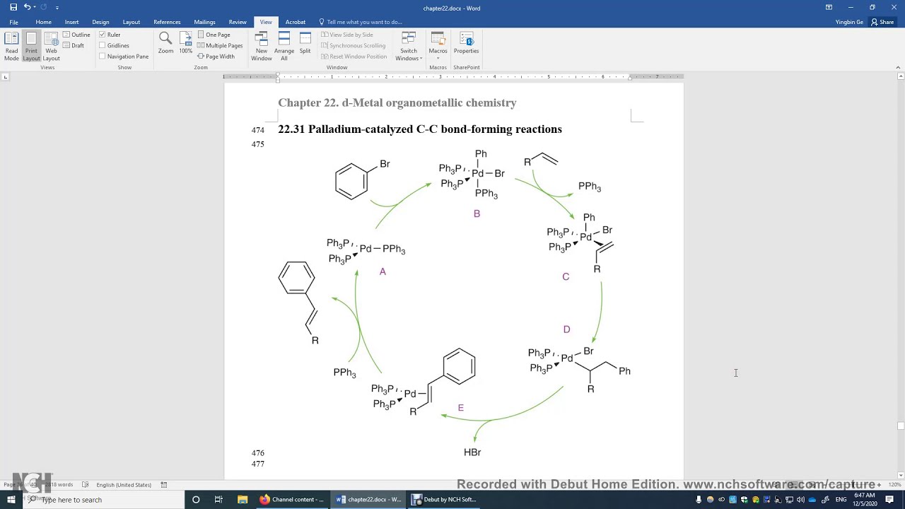 22 31 Palladium Catalyzed C-C Bond Formation