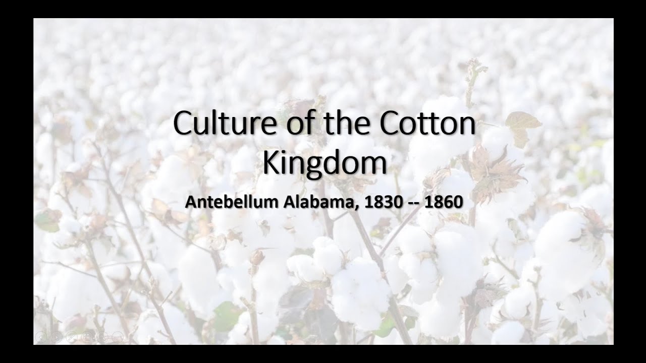Culture of the Cotton Kingdom