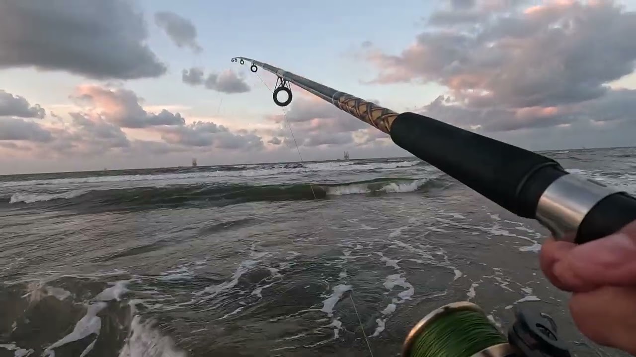 pescando conejos / pez globo / botete en la playa de Sánchez magallanes