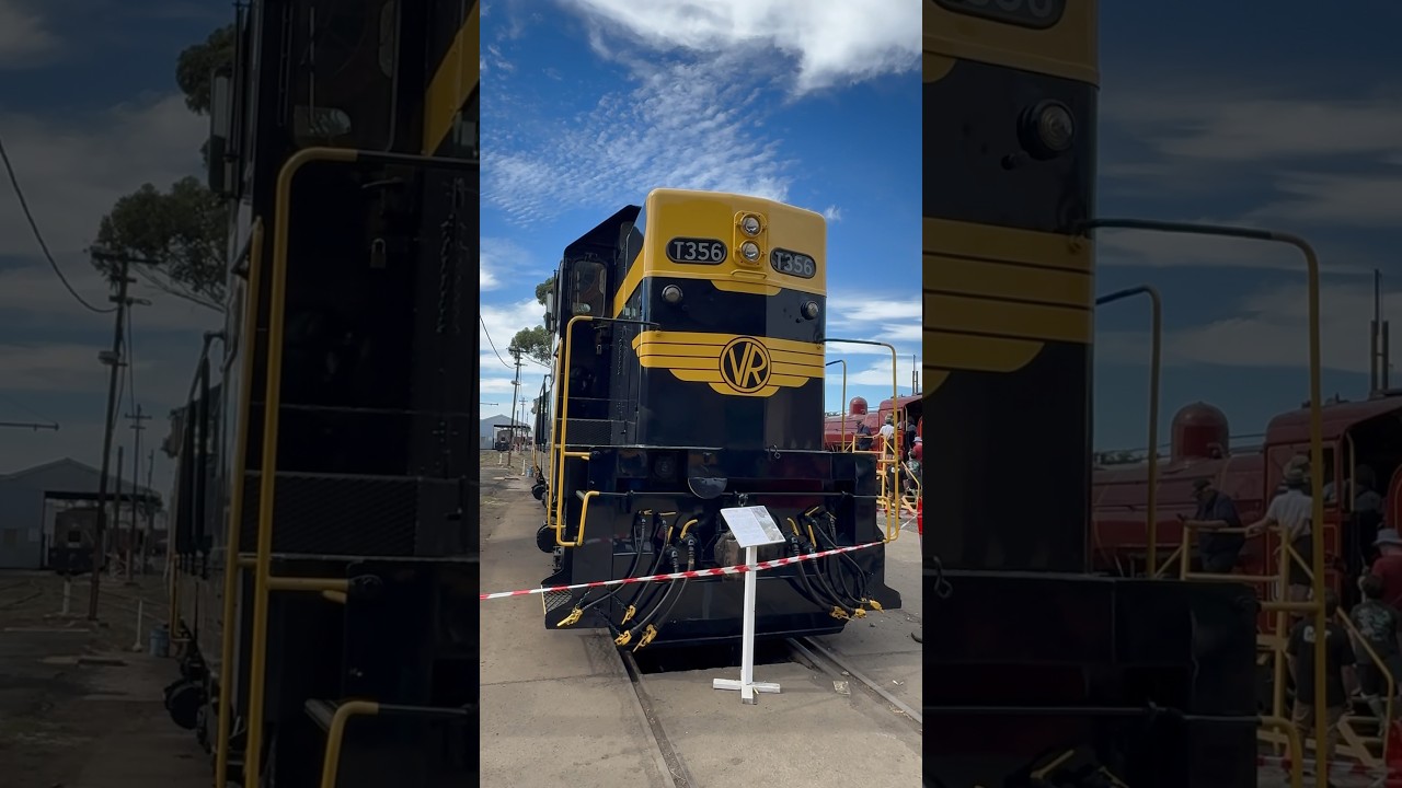 T356 | T class diesel - electric locomotive | train @ The Newport Workshops Open Days 2024 #shorts