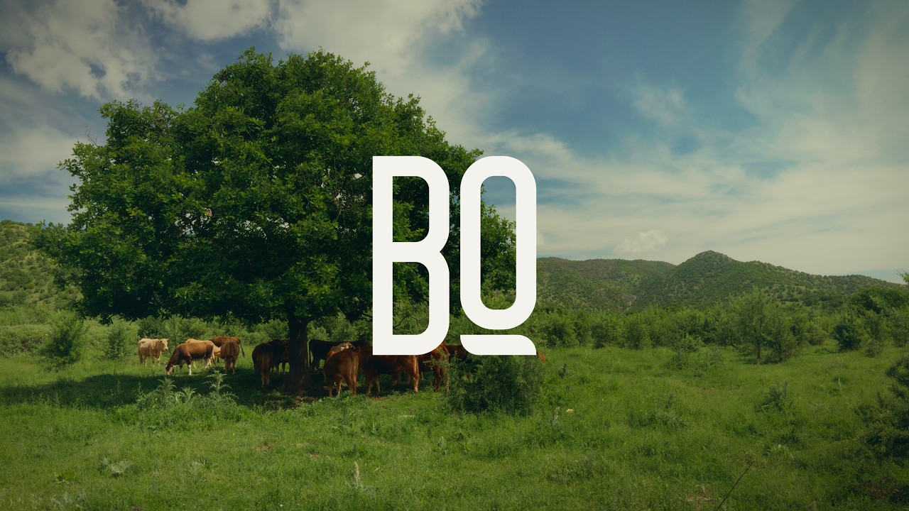 ΒΩ bio-functional milk - Corporate Documentary