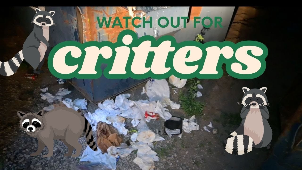 Dumpster diving watch for critters (NO dub)