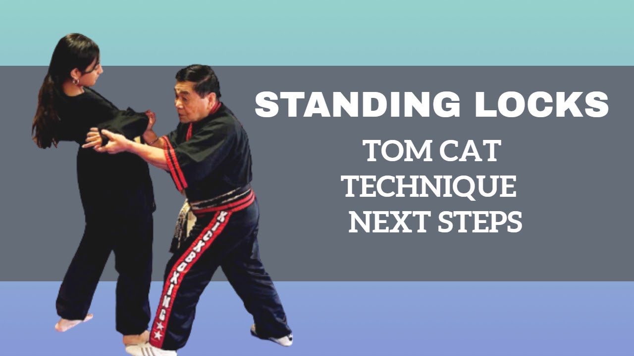 Standing Locks - Next Steps for Master Rubin's  Open Hand Tom Cat Style Fight Technique 1 & 2.