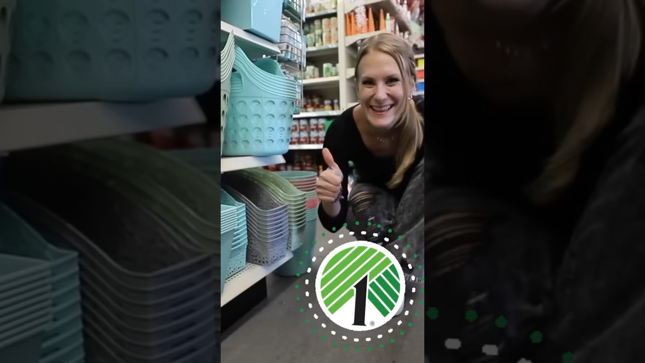 Советы по организации DOLLAR TREE! 🤯 2024 #dollartree