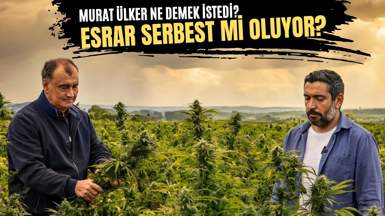 Türkiye’de Kenevir Yasası Yolda! Tıbbi Kullanım Serbest mi Oluyor?