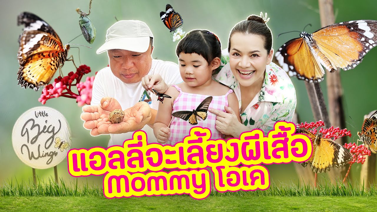 MamBob & Ally EP 056 : แอลลี่จะเลี้ยงผีเสื้อ Mommy โอเค๊!
