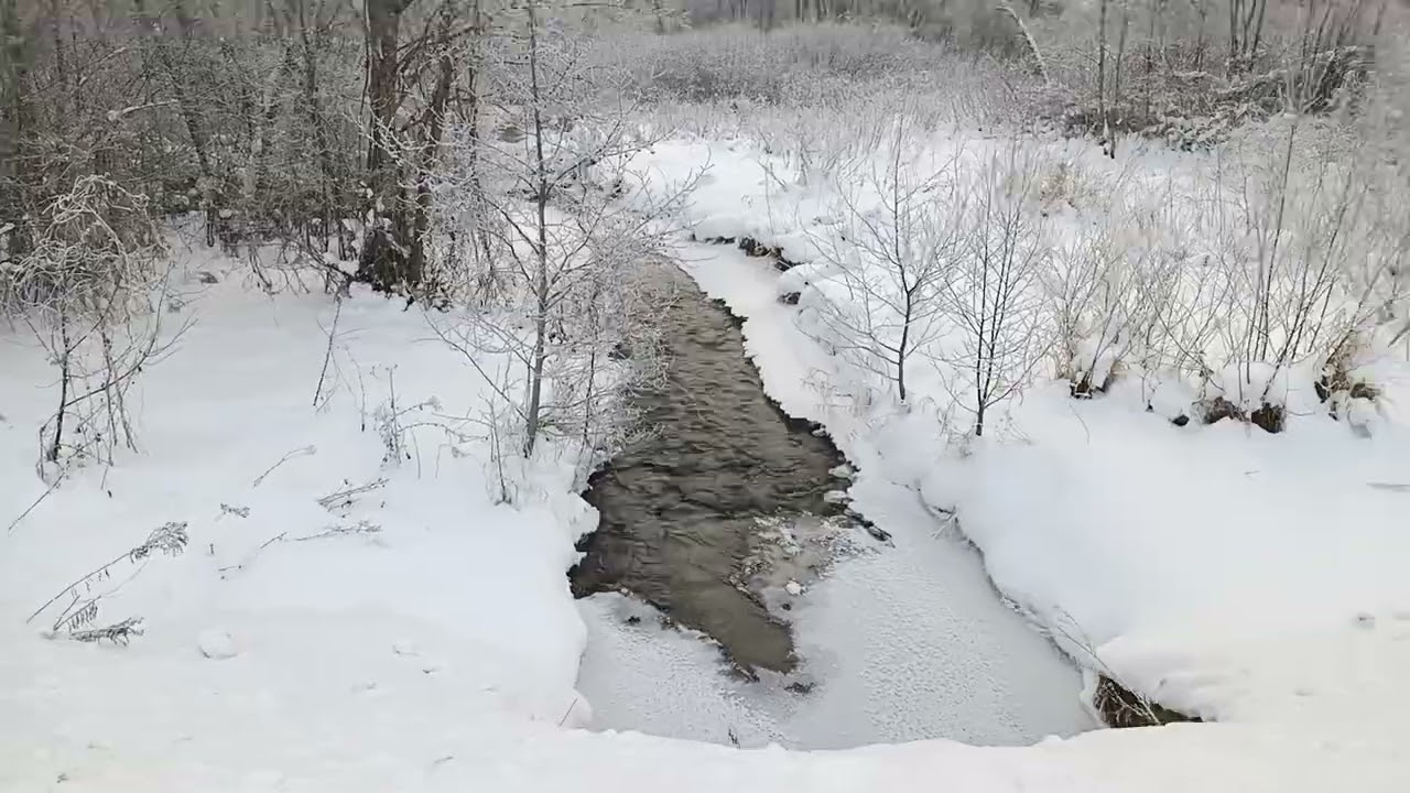 Talvevõlumaa Piusapervel