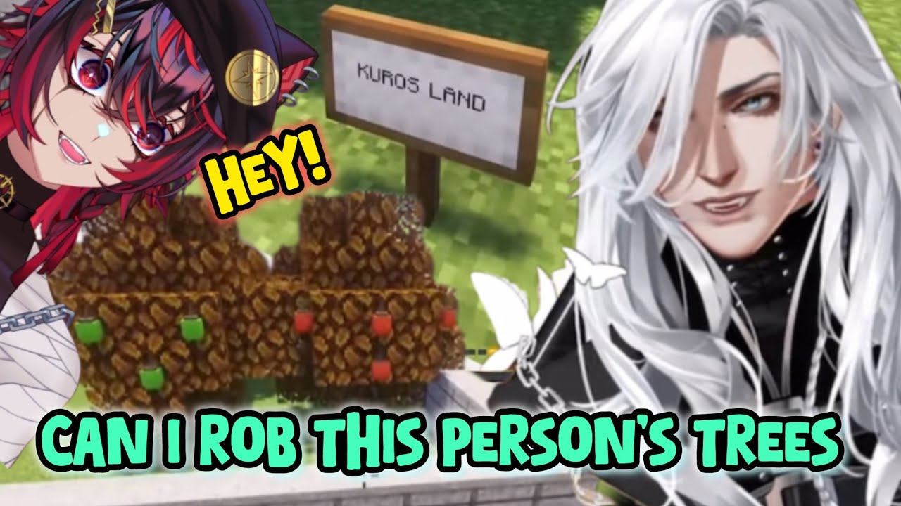 Cuu-chan tries to steal Kuro's tree 【F&eacute;ileac&aacute;n C&uacute; & K9KURO】