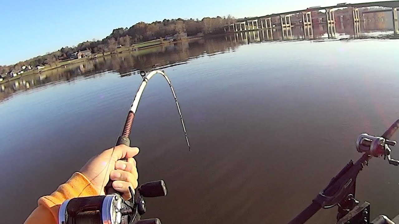 Fishing a Steam Plant for BIG Catfish