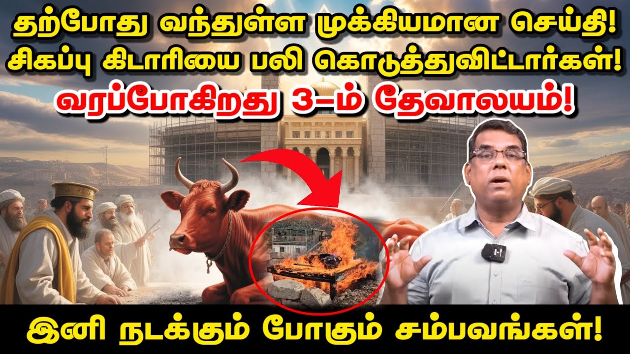 🔴 சிகப்பு கிடாரியை பலி கொடுத்துவிட்டார்கள்! வரப்போகிறது 3-ம் தேவாலயம் | BRO.MD JEGAN | Daily Gospel