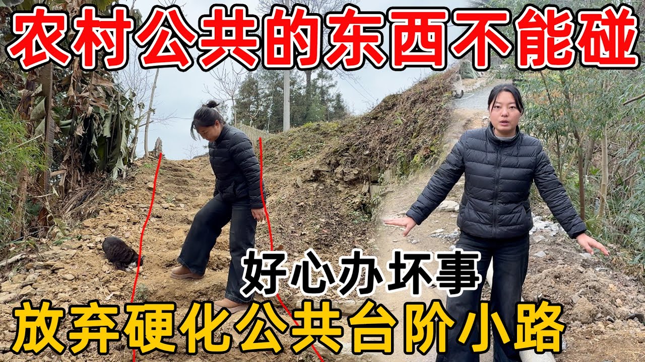 在农村公共的东西不要随便碰，夫妻俩放弃了做好事的想法  不硬化台阶小路，免得惹祸上身