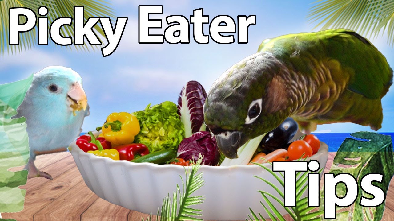 Tips for Picky Eaters | Topics