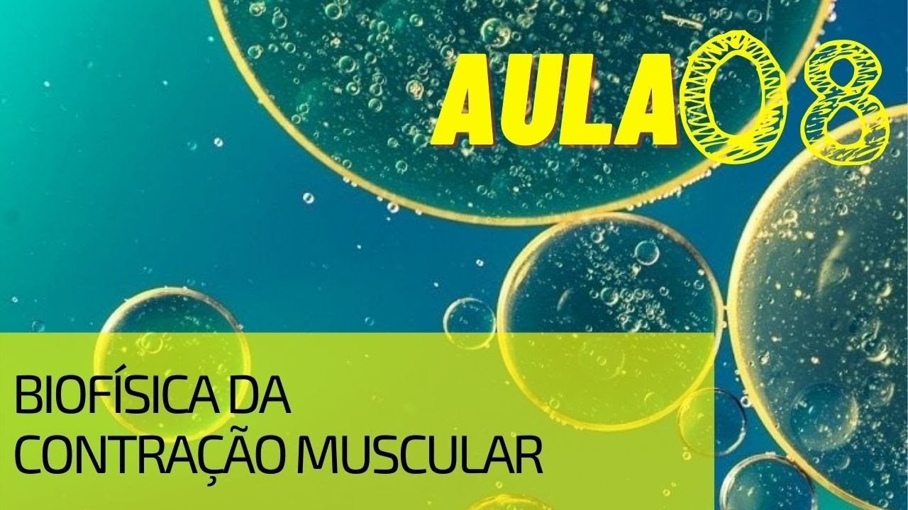 Biofísica da Contração Muscular
