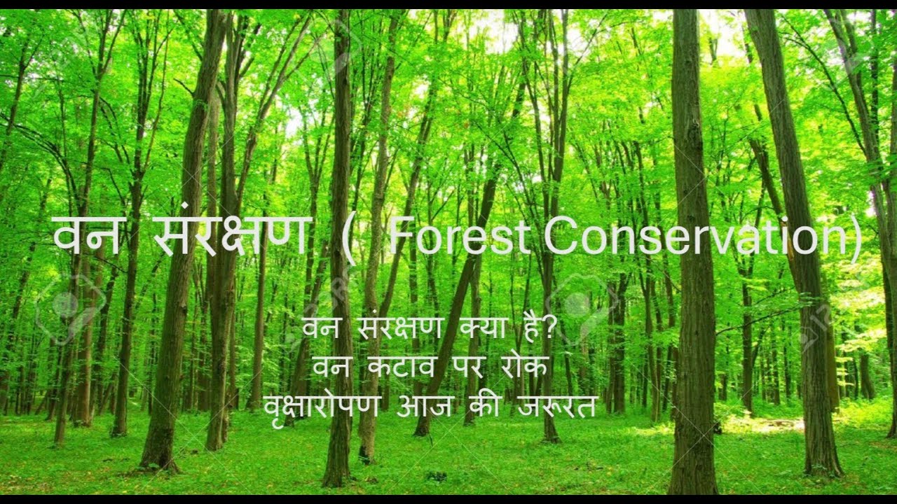 Van Sanrakshan ( Forest Conservation ) Paragraph Explanation in Hindi and English.
