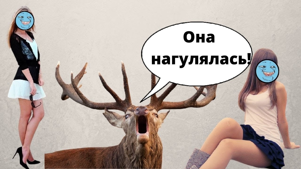 Почему девушкам нравятся плохие парни