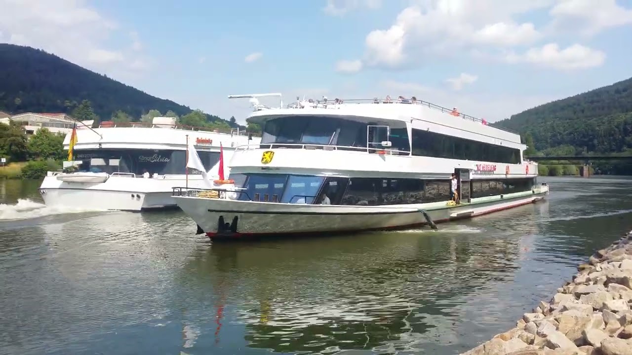 Weisse Flotte Heidelberg - Begegnung in Neckargemünd
