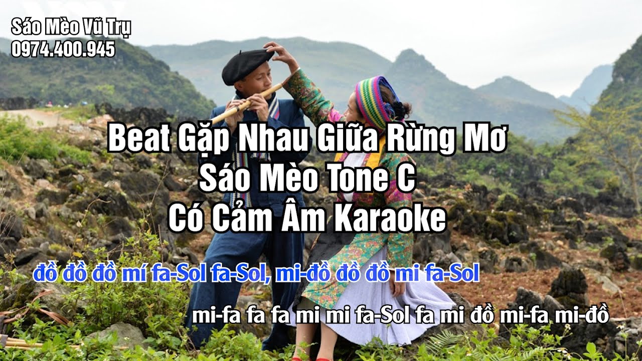 Beat Gặp Nhau Giữa Rừng Mơ - Sáo Mèo Tone C Có Cảm Âm Karaoke | Sáo Mèo Vũ Trụ