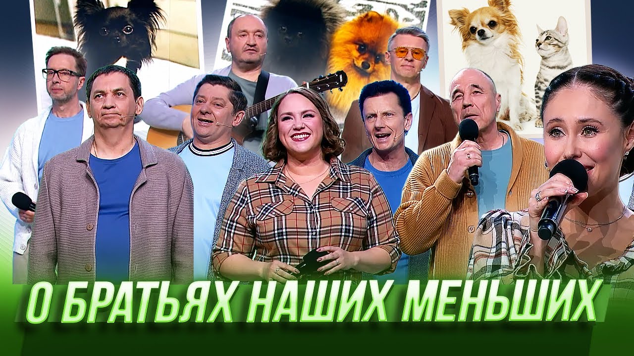 О братьях наших меньших   Курам наспех