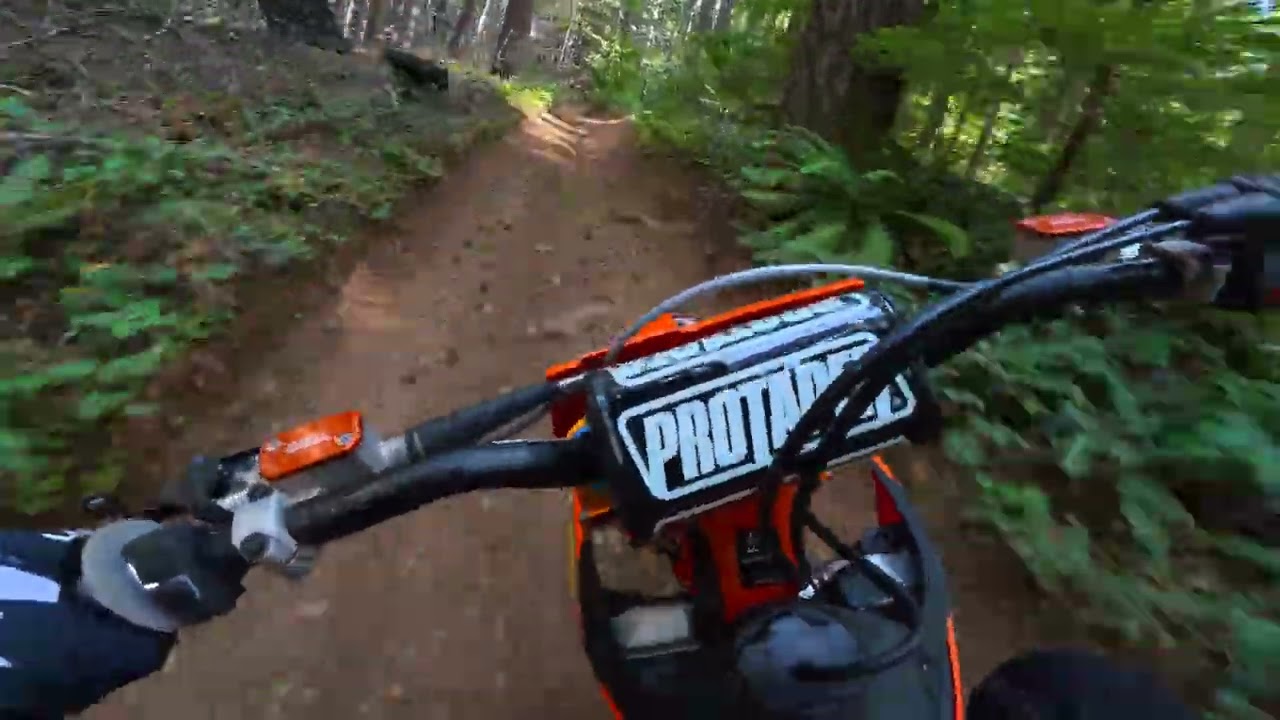 Trail 100 at Huckleberry Flats OHV. This section of 100 is on the east side of the main road.