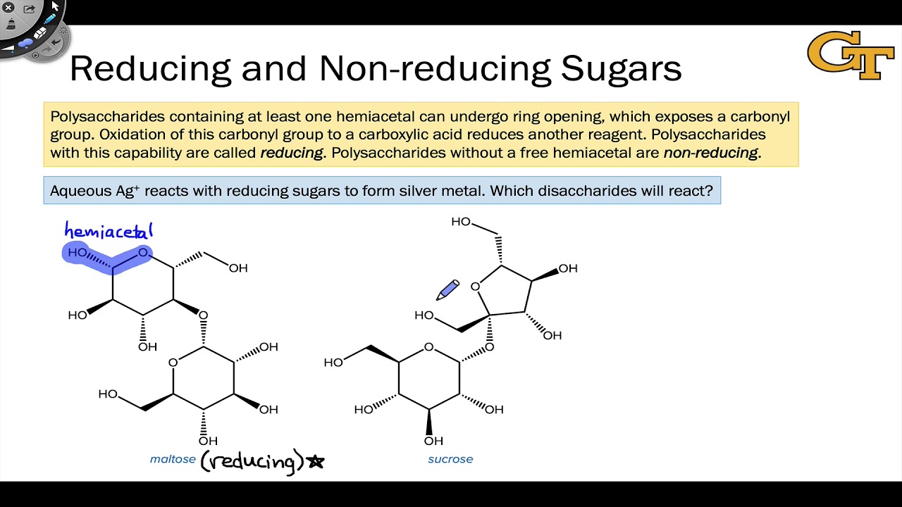 17.05 Reducing and Non-reducing Disaccharides