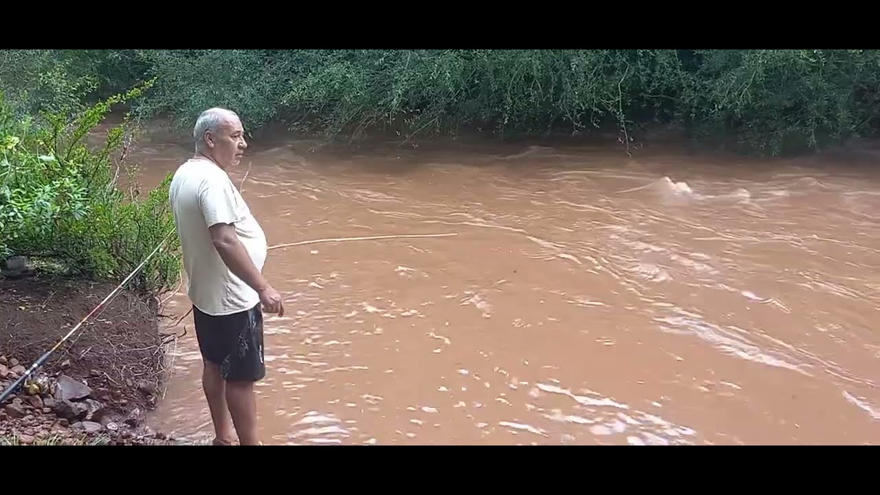 🔴vamos a la arroyo a pescar #pesca #arroyos 
