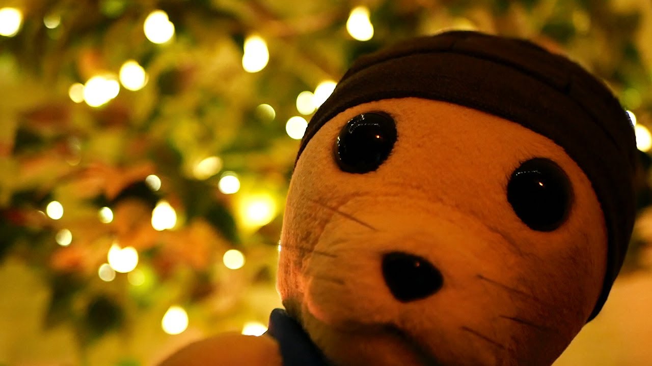 ASMR Treehouse Bedtime Story 🌌 | Tuck-In, Fireplace & Rainstorm 🌳🌧️🦭