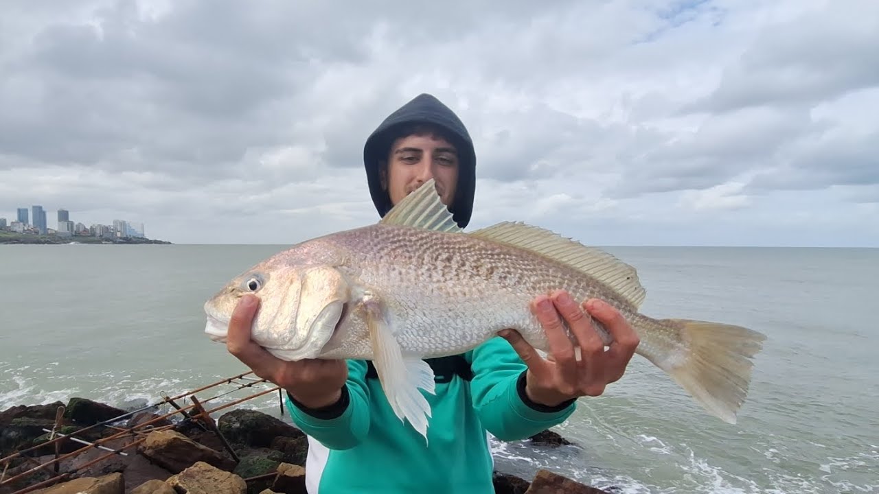 POR FINN!!!, UNA CORVINAA🐟🐟, Pesca en escollera norte #pesca #fishing 