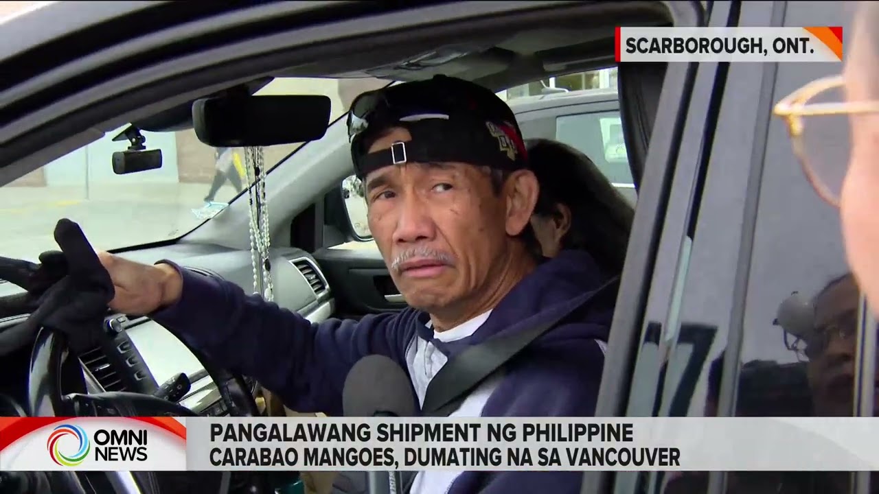 2nd batch ng Philippine Carabao mangoes, nasa Vancouver na | OMNI News Filipino