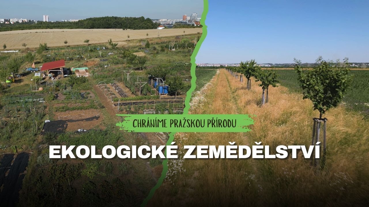 Ekologické zemědělství│Cyklus 'Chráníme pražskou přírodu'