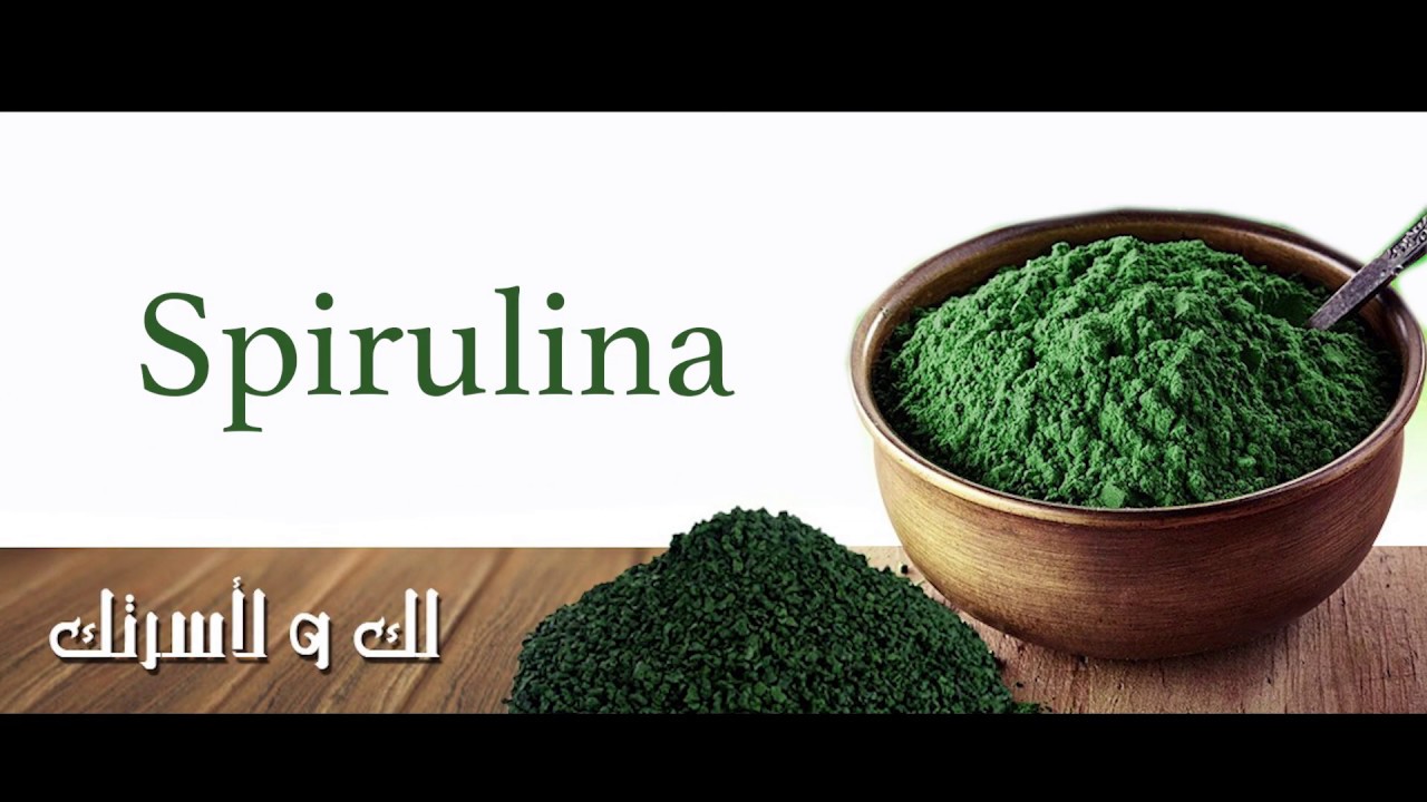 مؤسسة نور الهدى للادارة المشروعات الزراعية