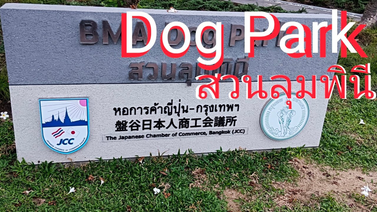 รีวิว Dog Park สวนลุม