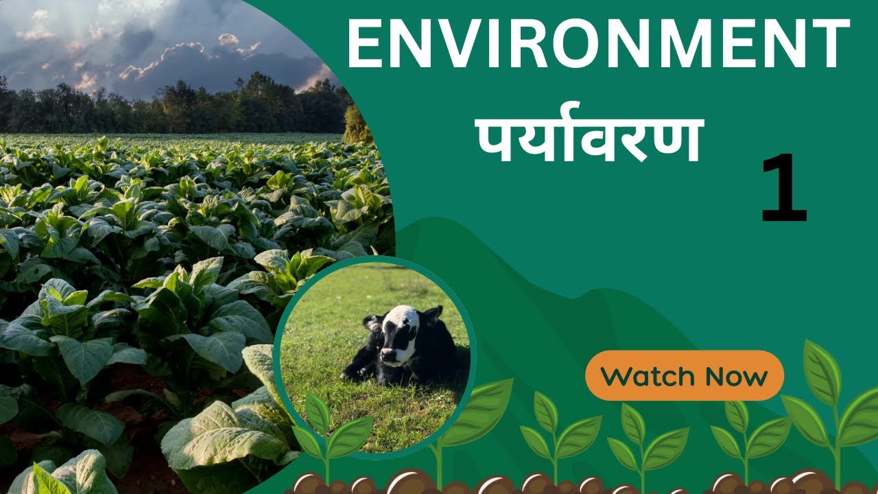 Environment(पर्यावरण)// class 1// hssc cet mains// all exams