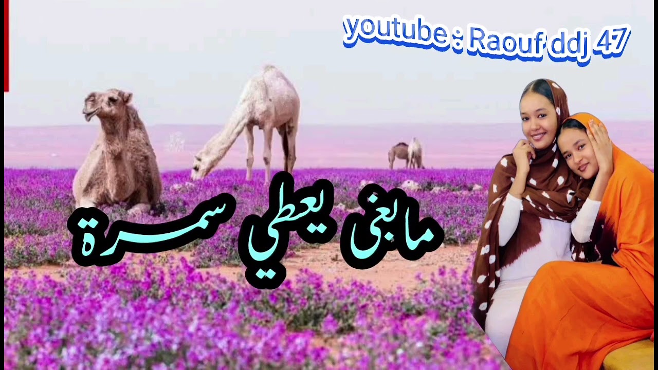 عجبوني شيرات يامى دار القايد 2 جلولي عين صالح #رؤوف_ديدجي