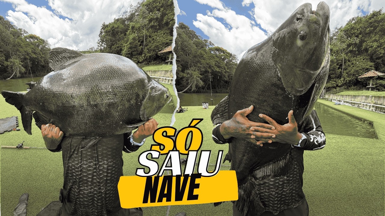 PESQUEIRO PANTANOSSO | Aqui não falha nunca é ação o dia inteiro