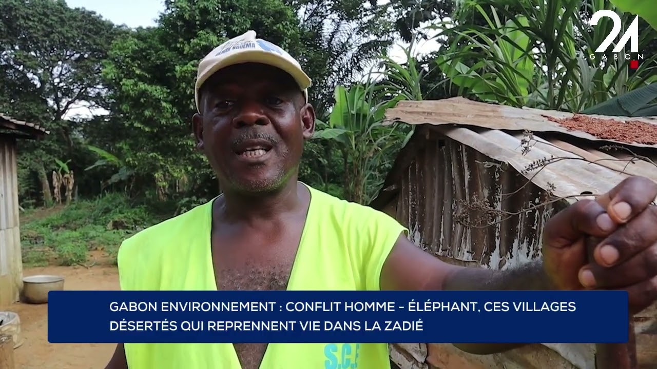 GABON ENVIRONNEMENT : CONFLIT HOMME - ÉLÉPHANT, CES VILLAGES DÉSERTÉS QUI REPRENNENT VIE