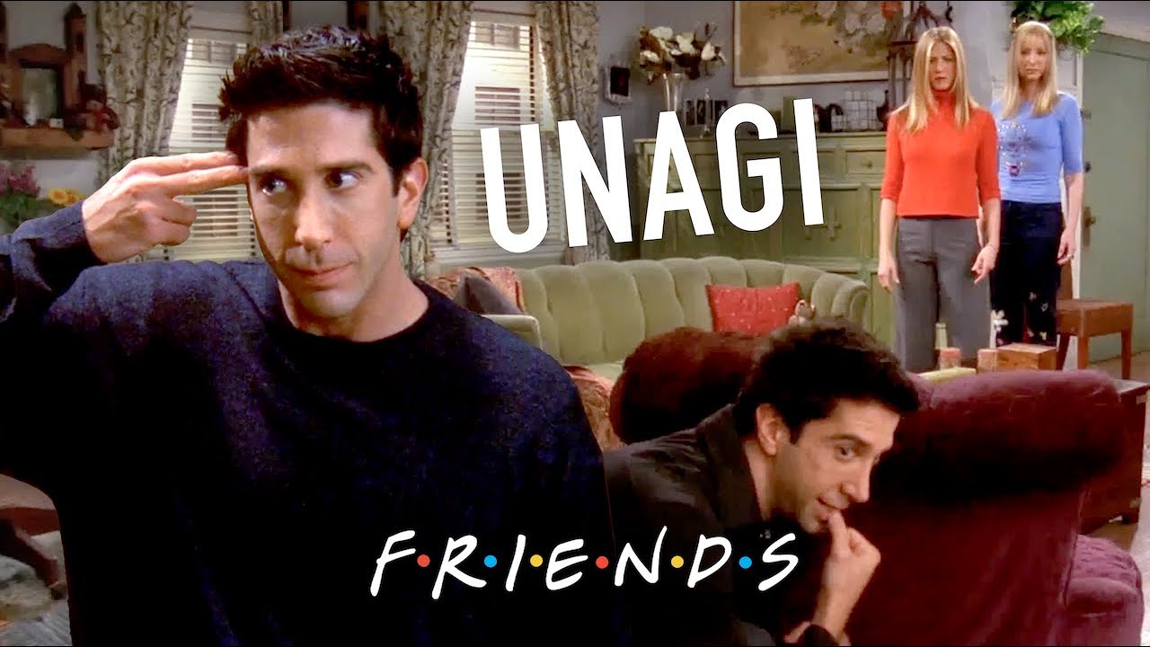 Unagi | Friends