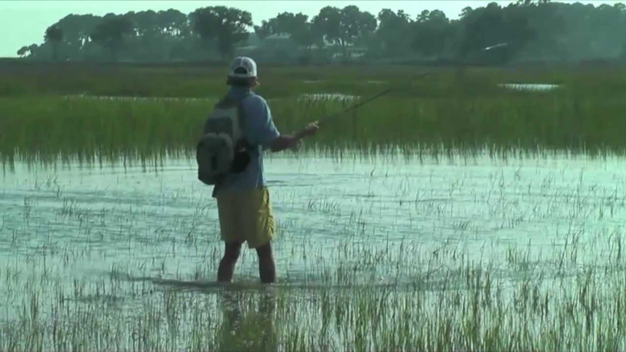 Tailing Redfish on the Fly Beaufort, SC