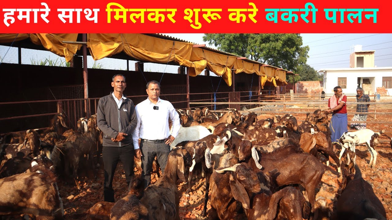 हमारे साथ मिलकर शुरू करे बकरी पालन @@@Indian farming technology