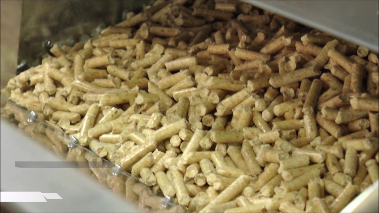 Pertinger cucina a pellet
