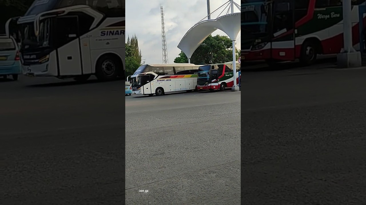 Ayo Naik Bus 